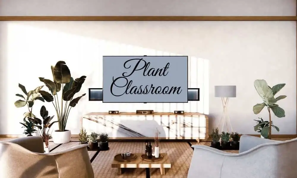 Plant-Classroom